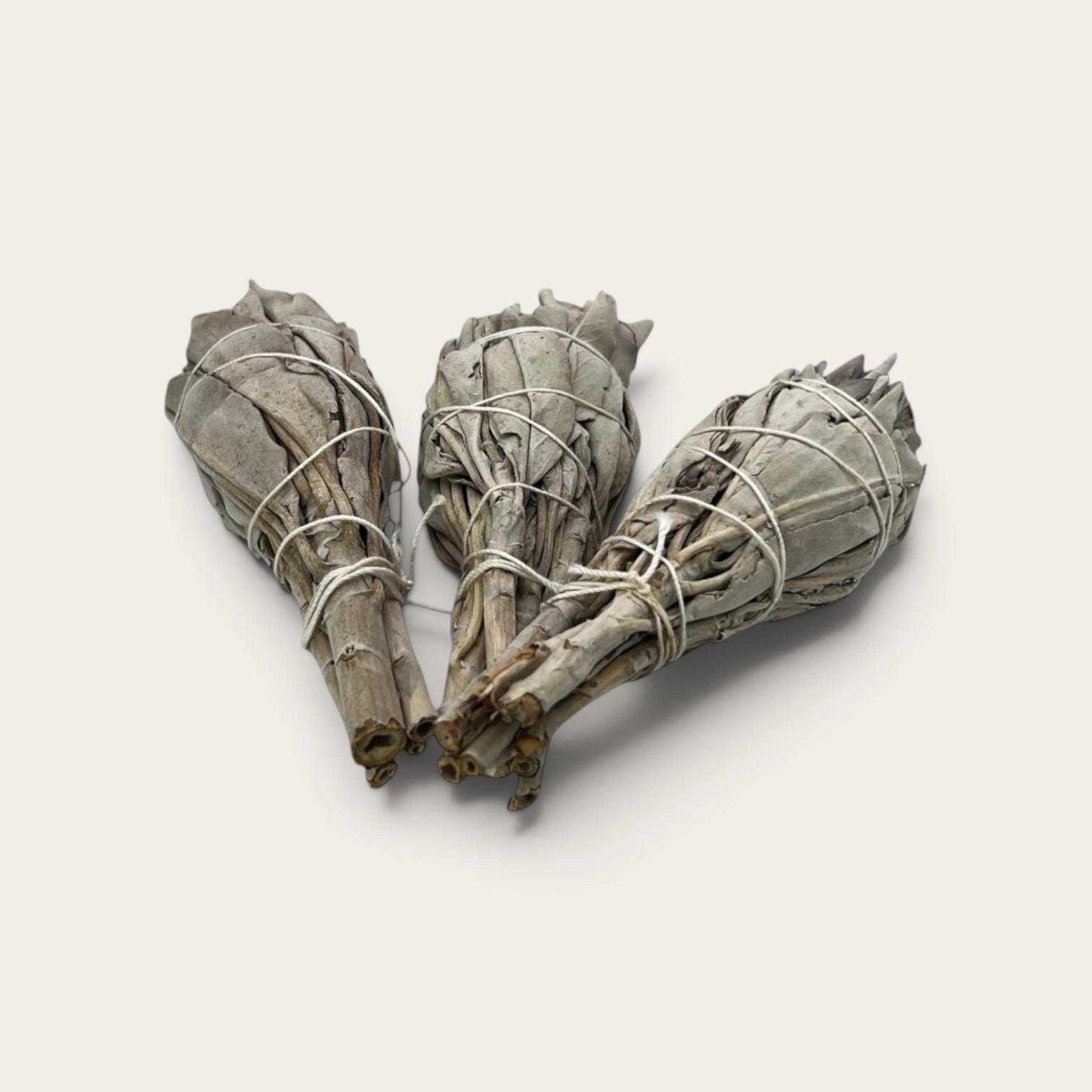 3xWhite_Sage